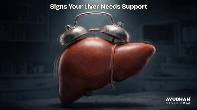 Signs your liver needs support showing early liver stress symptoms and detox imbalance