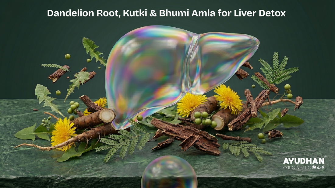 Dandelion root, Kutki, and Bhumi Amla Ayurvedic herbs for natural liver detox support