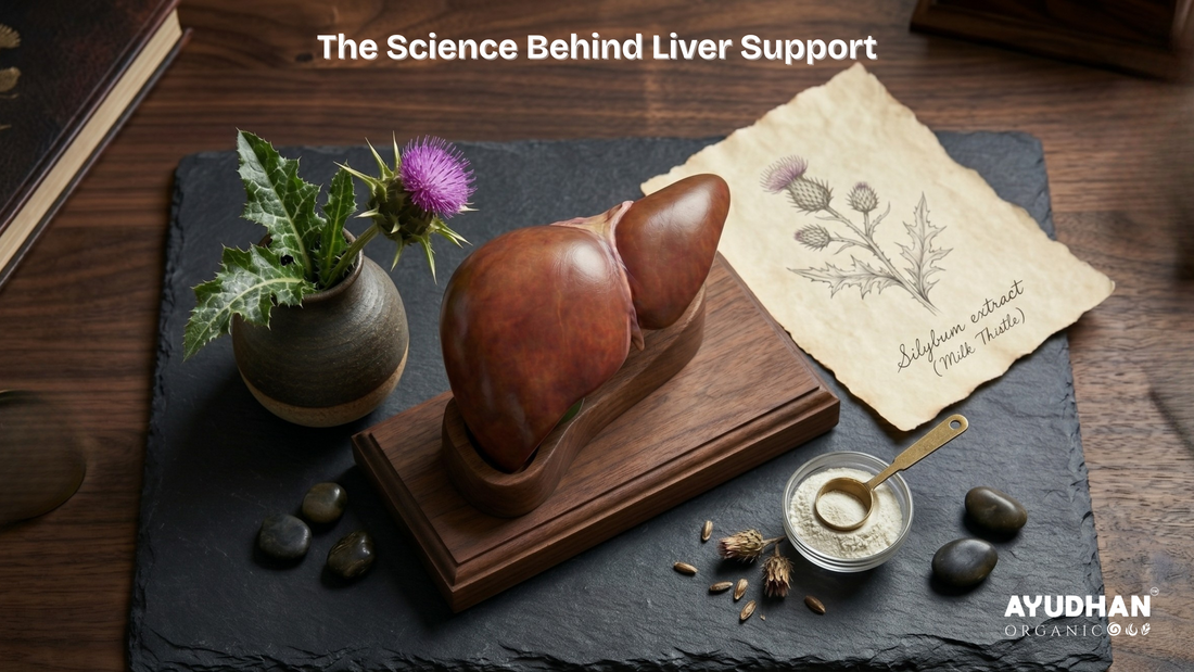 Liver support supplements with silymarin from milk thistle for natural liver detox and protection