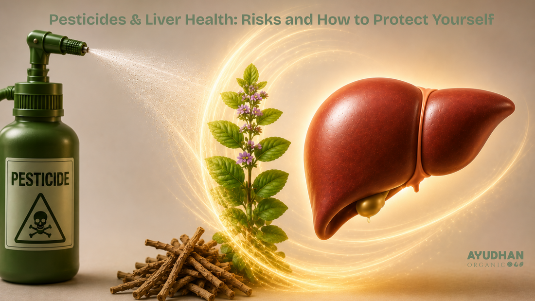 Illustration showing pesticide exposure and liver health, featuring a pesticide spray bottle, medicinal herbs, and a healthy liver to highlight the impact of pesticides on liver function and natural liver support.