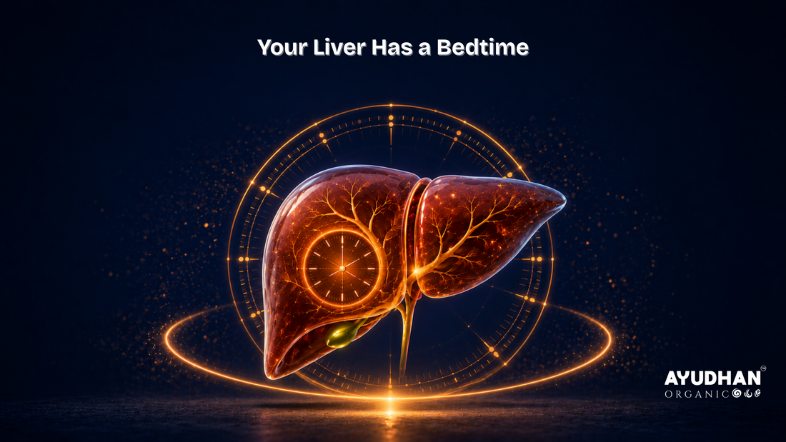 Human liver with a clock representing circadian rhythm, sleep, liver detoxification, and overnight liver repair.